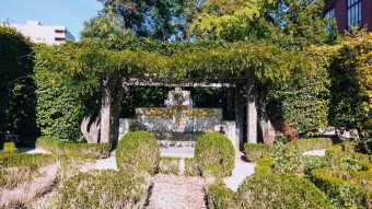Trip to Portugal - Botanical garden of Porto #3