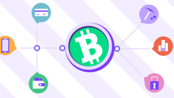 Bitcoin Cash Review 2020
