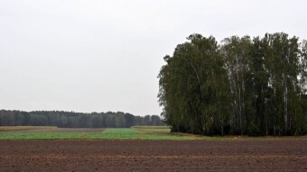 Lublin region - a change of scenery but not a change of weather, as it rains heavily - My Actifit Report Card: September 14, 2025
