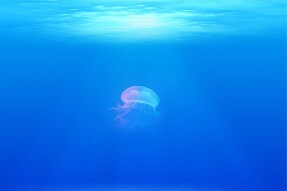 Poem:  Sea Of Ecstasy