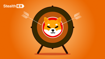 What Is Shiba Inu Coin SHIB?