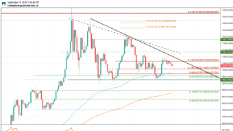 Daily Price Overview - Where The Top10 Crypto's are Headed?
