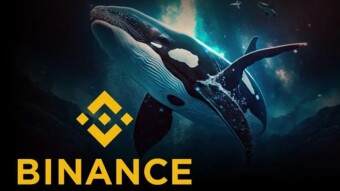 The power of Binance whales in the midst of the occasional market crash.