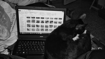 Techno Cat
