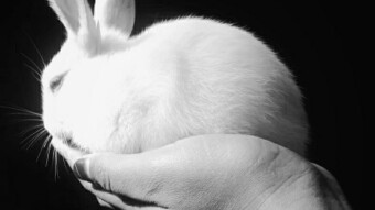 The World of XPILAR - B&W PHOTOGRAPHY AND ART CONTEST WEEK #55- 20STEEM/14SBI in prizes! - Submissions post