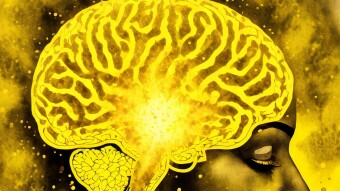 NAVIGATING COGNITIVE BIASES: DANIEL KAHNEMAN AND ACWOL