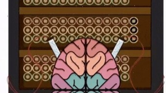 A Brain Made By Society