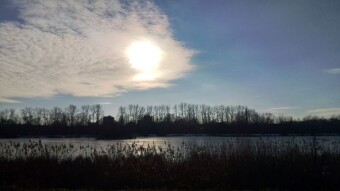 Beautiful sunny Friday, Friday - My Actifit Report Card: Janures 24 2025