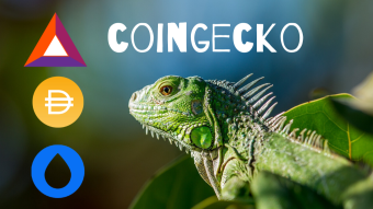 CoinGecko 🦎 A Transparent Tool To Track Cryptocurrencies