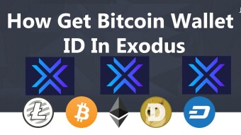 How Get Bitcoin Wallet ID In Exodus | Find My Bitcoin Address