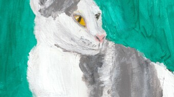 Turnip the Cat
