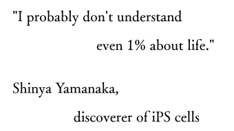 I don't understand even 1%