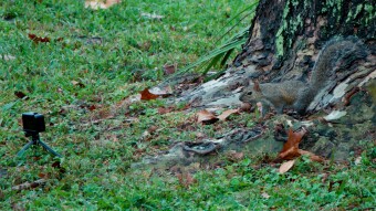 Why I Love Wildlife Photography #2