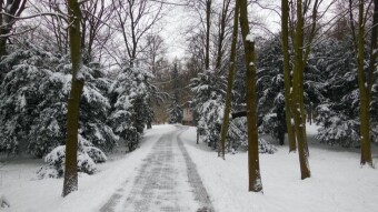 Well, it's winter again, and a real winter at that - My Actifit Report Card: January 7 2024