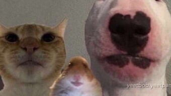 Memes of the day