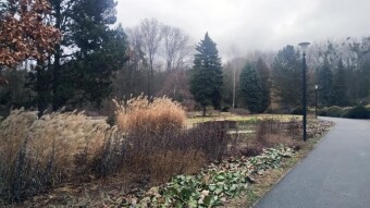 A slight cool down, but spring is on its way - My Actifit Report Card: February 25, 2026