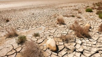 A Country Turns to Dust - an ode to greener places