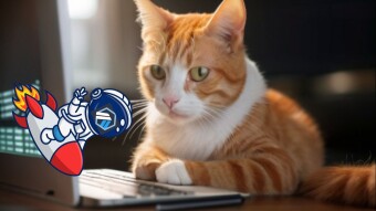 Will This Token Crash In Two Days?