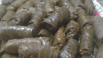 Foodbook #586  Greek traditional dolmades