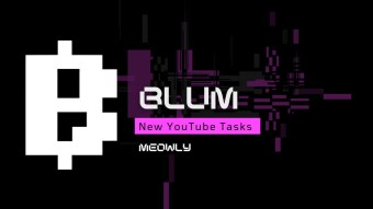Blum Daily Video Codes October 28, 2024 — Pumptober Special