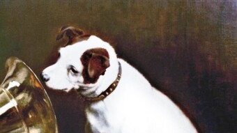 COVID-19 and Canine Corona Virus. Are we and our pets prepared?