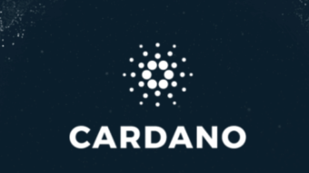 Elections to Cardano Foundation: Opinion