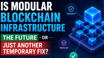 Is Modular Blockchain Infrastructure the Future or Just Another Temporary Fix?