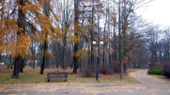 Another really nice autumn day 😁 - My Actifit Report Card: December 4, 2024
