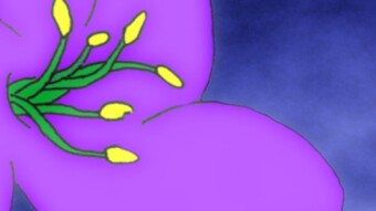 Sneaking Flower, Hidden Bee