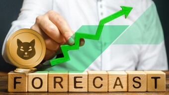 Shiba Inu (SHIB) price prediction for 2022-2030