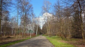Nice, sunny and warm - positive April day - My Actifit Report Card: April 12 2023