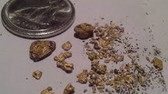 Panning for Gold with Goldbay Paydirt