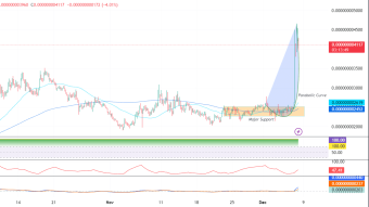 Baby Doge Coin has skyrocketed over 70%