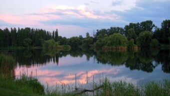 Intensive Saturday in the park - My Actifit Report Card: June 8 2024