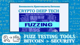 Fuzzing Bitcoin: Search for critical vulnerabilities and new methods of protecting cryptocurrency