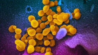 United States Enacts Travel Restrictions on Europe Amid Covid-19 Pandemic