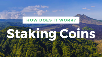 What is coin staking and how do you make money from it?
