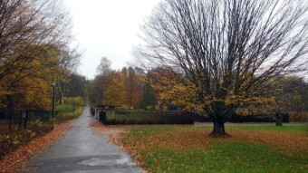 A cool, rainy and windy Sunday didn't deter my winged friends - My Actifit Report Card: November 5 2023