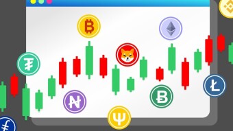 What’s Your Advice to Crypto Newbies? | Trade? | Invest? | Stake? | Earn? | Or Something Else?