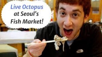 Me Eating a Live Octopus (IN ONE BITE) in Seoul!
