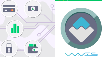 Waves Coin Review