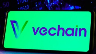 IS VECHAIN WORTH IT IN 2026??
