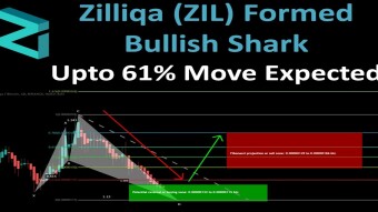 Zilliqa (ZIL) Formed Bullish Shark Upto 61% Move Expected
