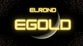 Can Elrond EGLD hit again $200?