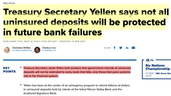 Is the Current System Sound or Is It in Danger and in Need of Rescue and Protection? Treasury Secretary Janet Yellen Is Unable to Answer This Simple Question.