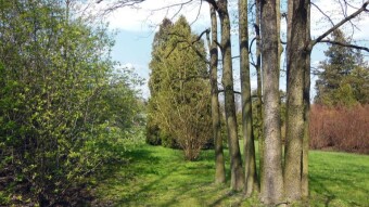 Finally a real spring day, and many natural curiosities - My Actifit Report Card: April 21 2023