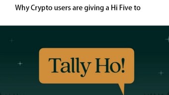 Why Metamask users are switching to Tally Ho ?