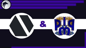 [ENG/ITA] PIMP and PWR: Two of My Top 3 Tokens on Hive-Engine