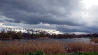 A bit gloomy Saturday with rain clouds - My Actifit Report Card: April 1 2023