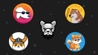 Who Let the Dogs out: Pitbull, DogeBonk, DogeDash, Floki Inu, POODL.